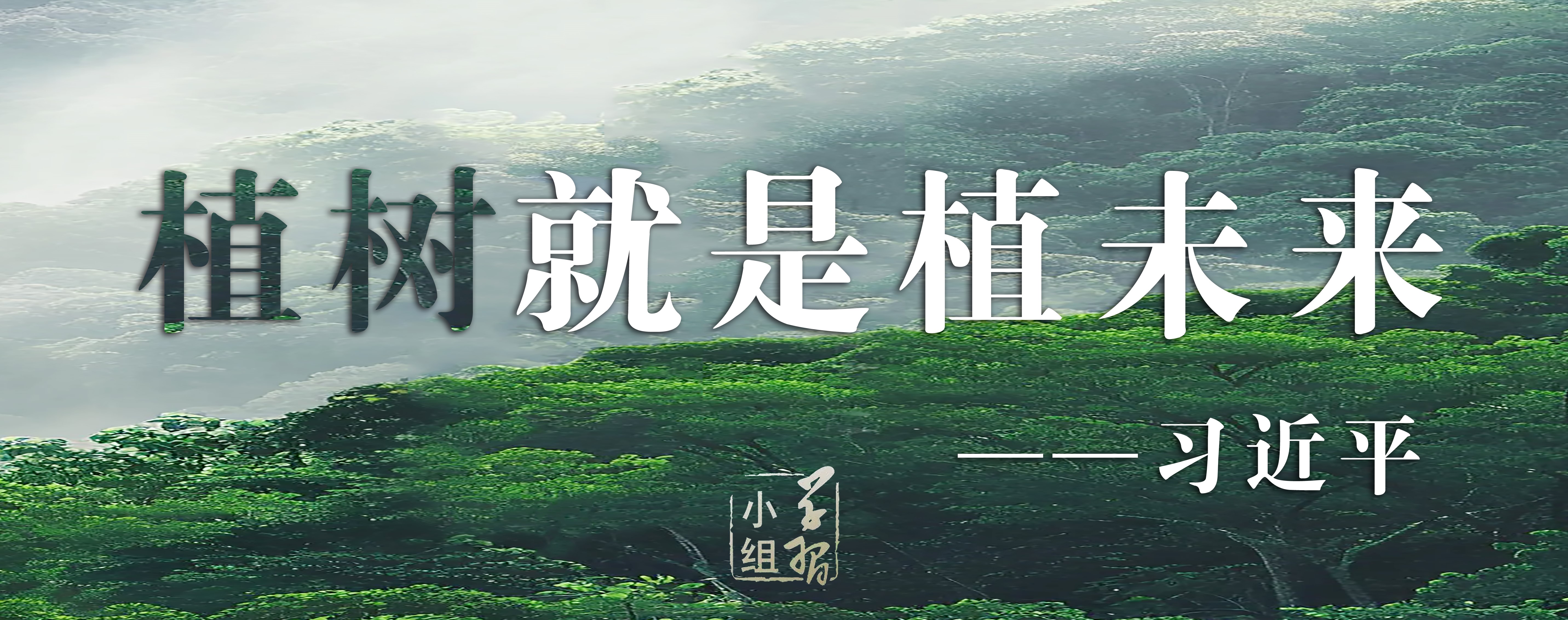 植树 .jpg